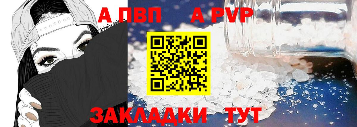 Alfa_PVP СК КРИС Орёл